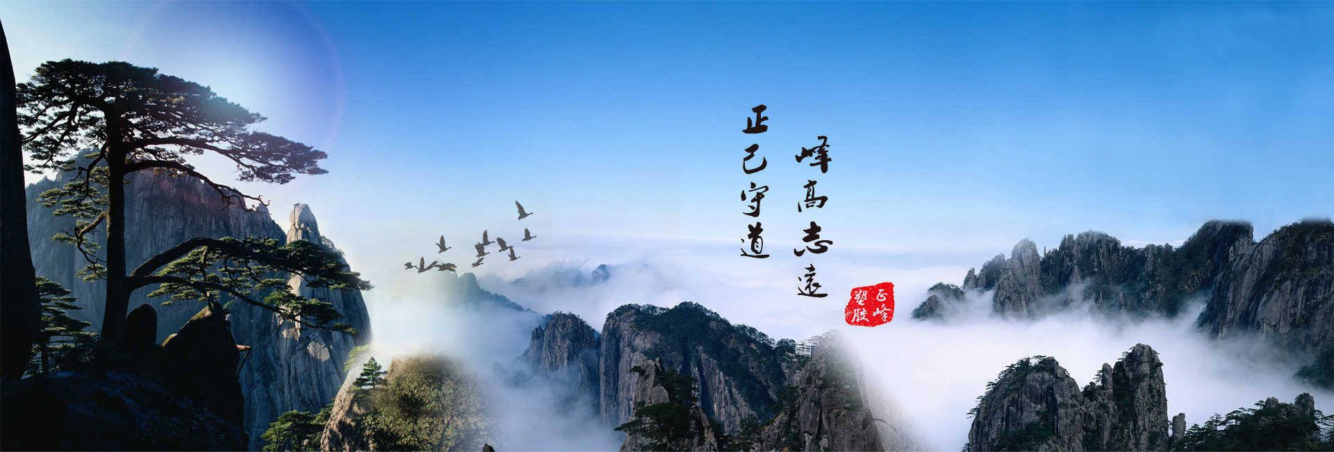 濟(jì)寧正邦表面處理劑有限公司